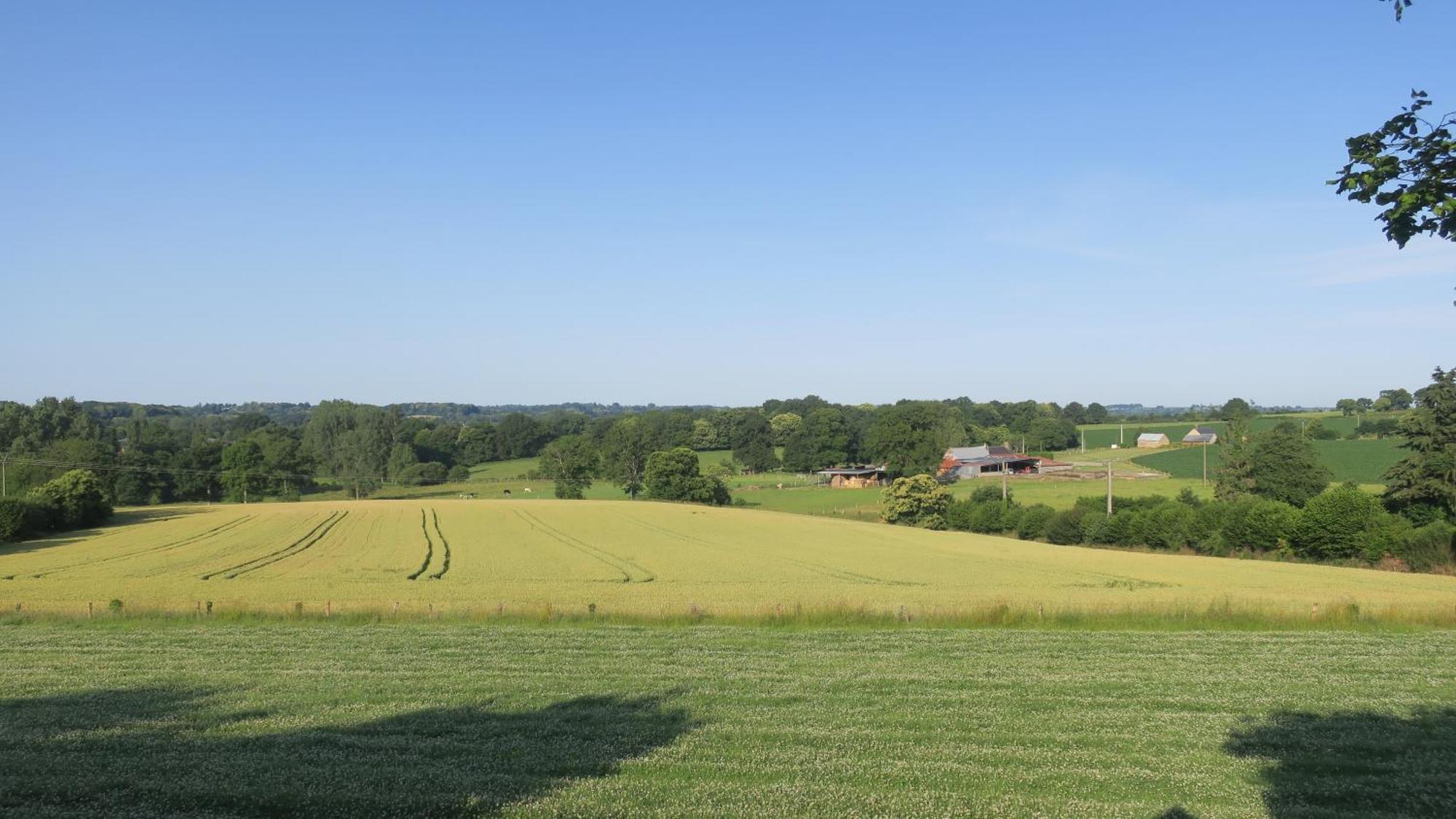 Une Maison A La Campagne Saint-Mars-sur-la-Futaie Exterior foto
